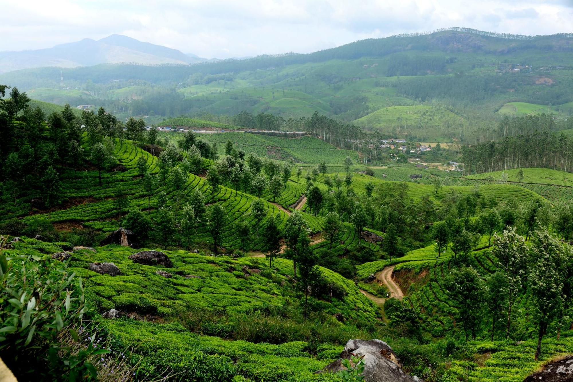 Mountain Club Resort Munnar Chinnakanal Exterior photo